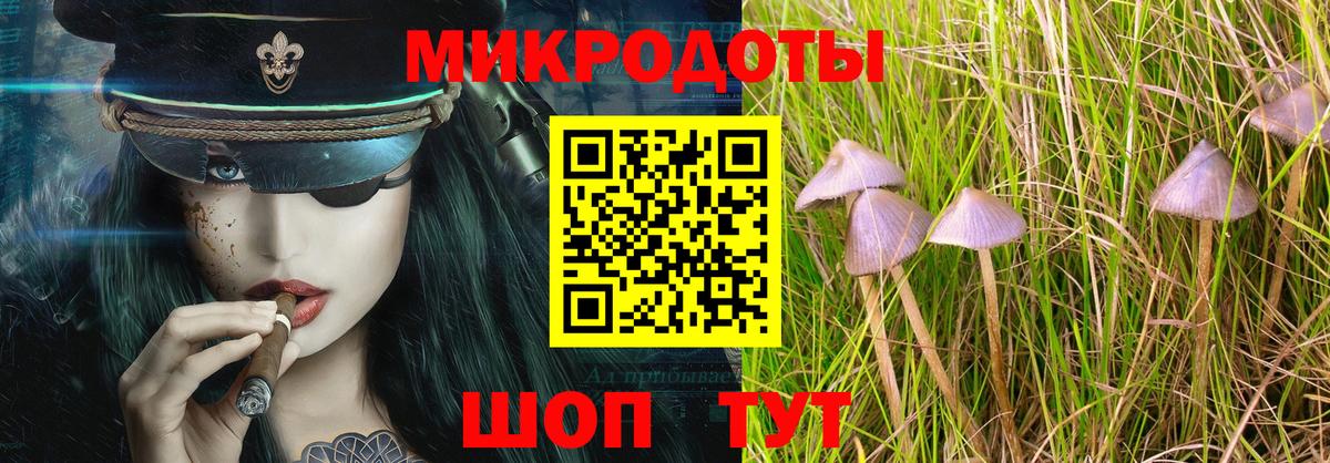 Псилоцибиновые грибы GOLDEN TEACHER Новочебоксарск