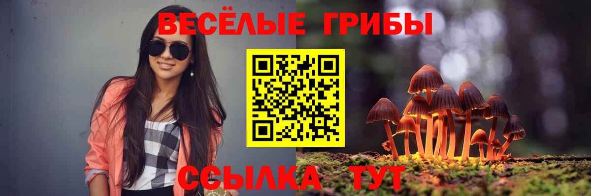 Новочебоксарск  Псилоцибиновые грибы ЛСД  Вход с VPN 